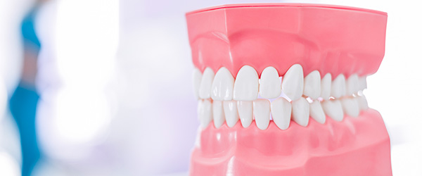 治療器具と歯型
